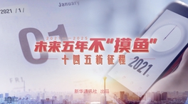 未來五年，不“摸魚”